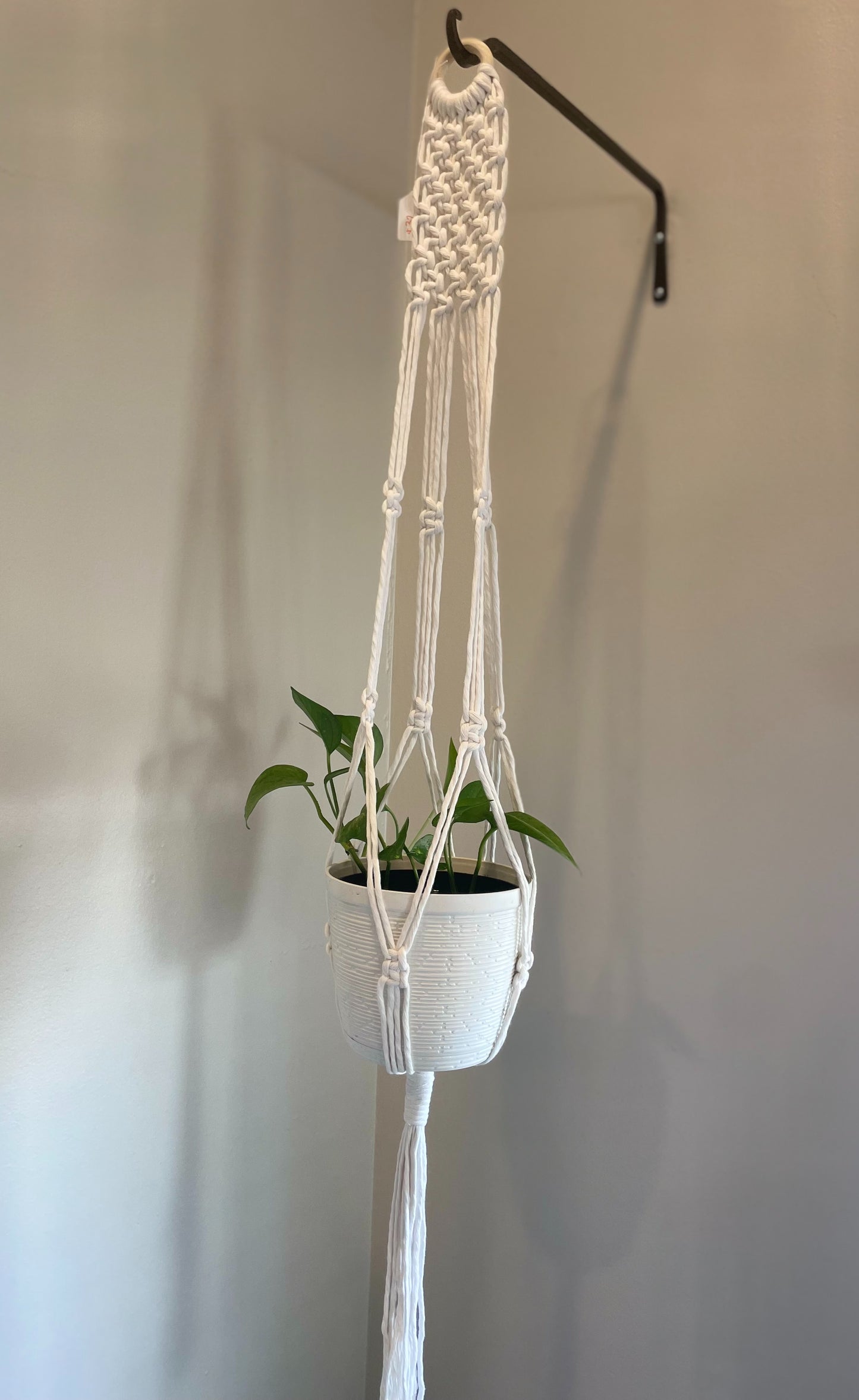 Square Knot Row Plant Hanger