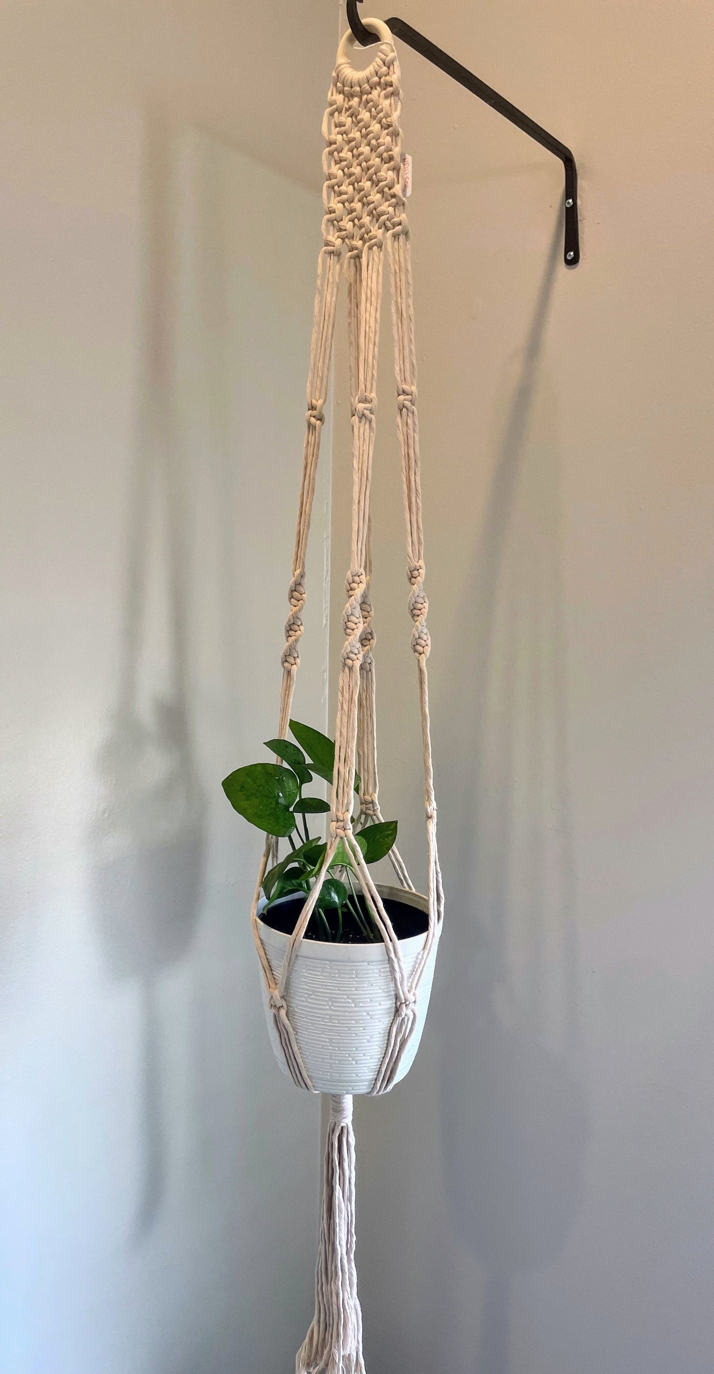 Square Knot Row Plant Hanger