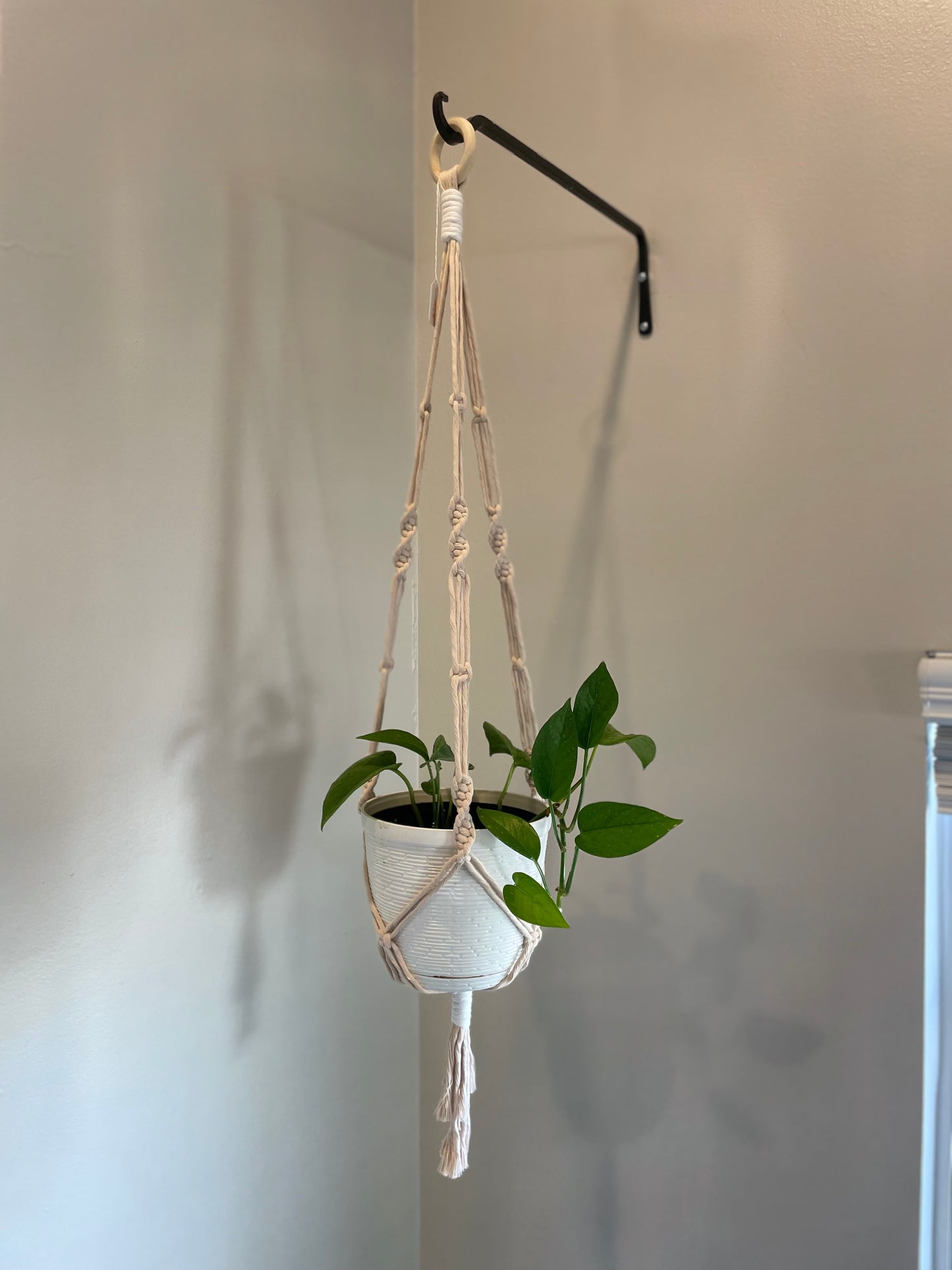 Macrame Twist Plant Hanger