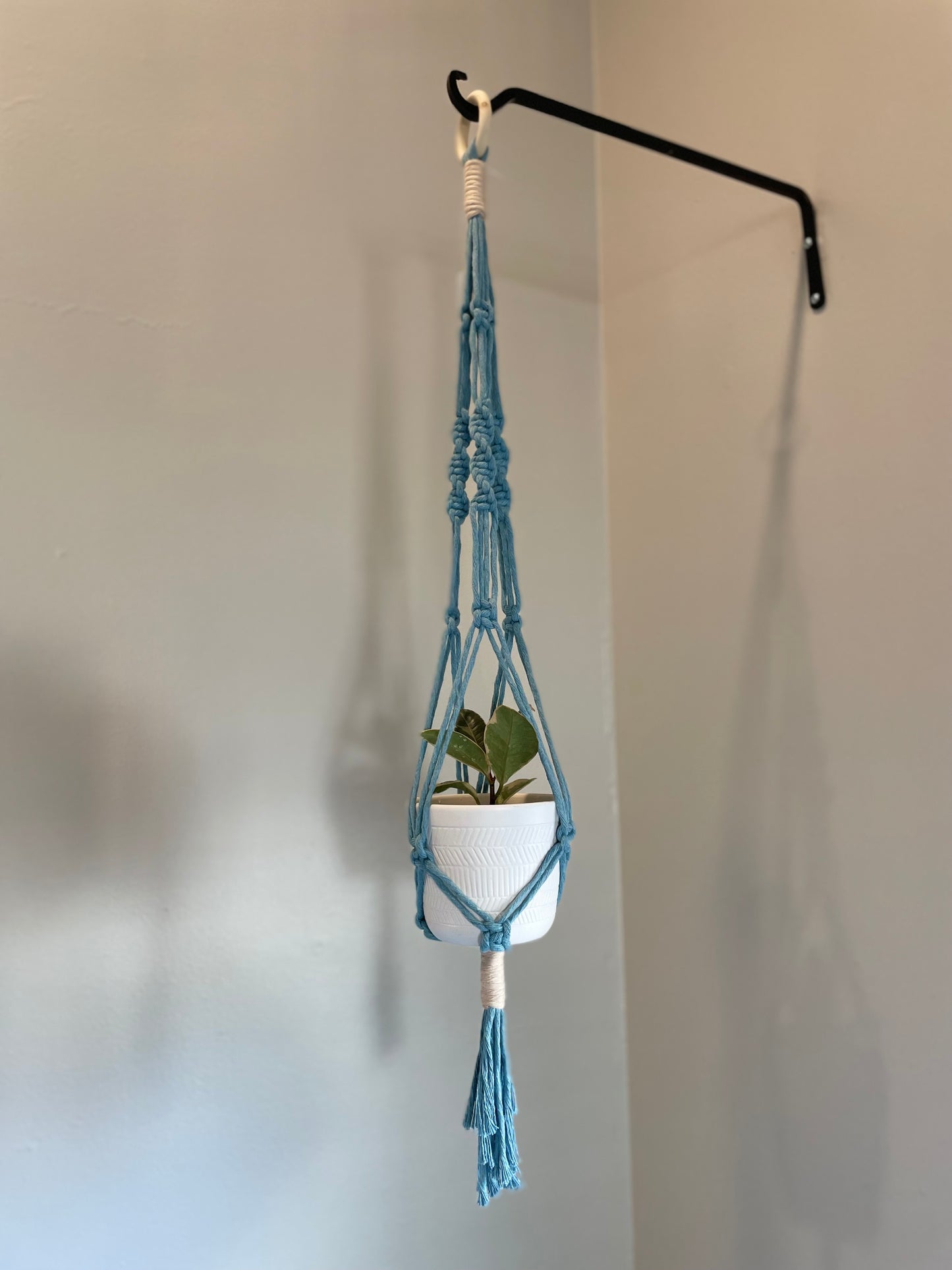 Macrame Twist Plant Hanger