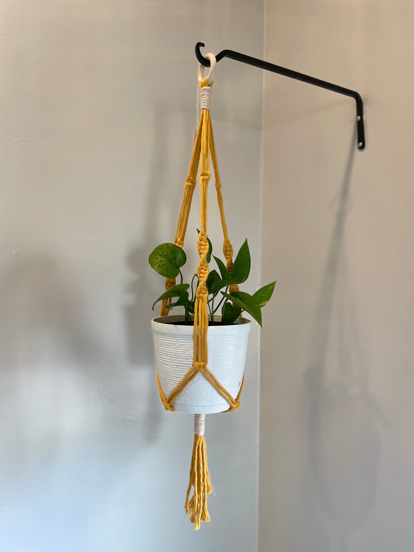 Macrame Twist Plant Hanger