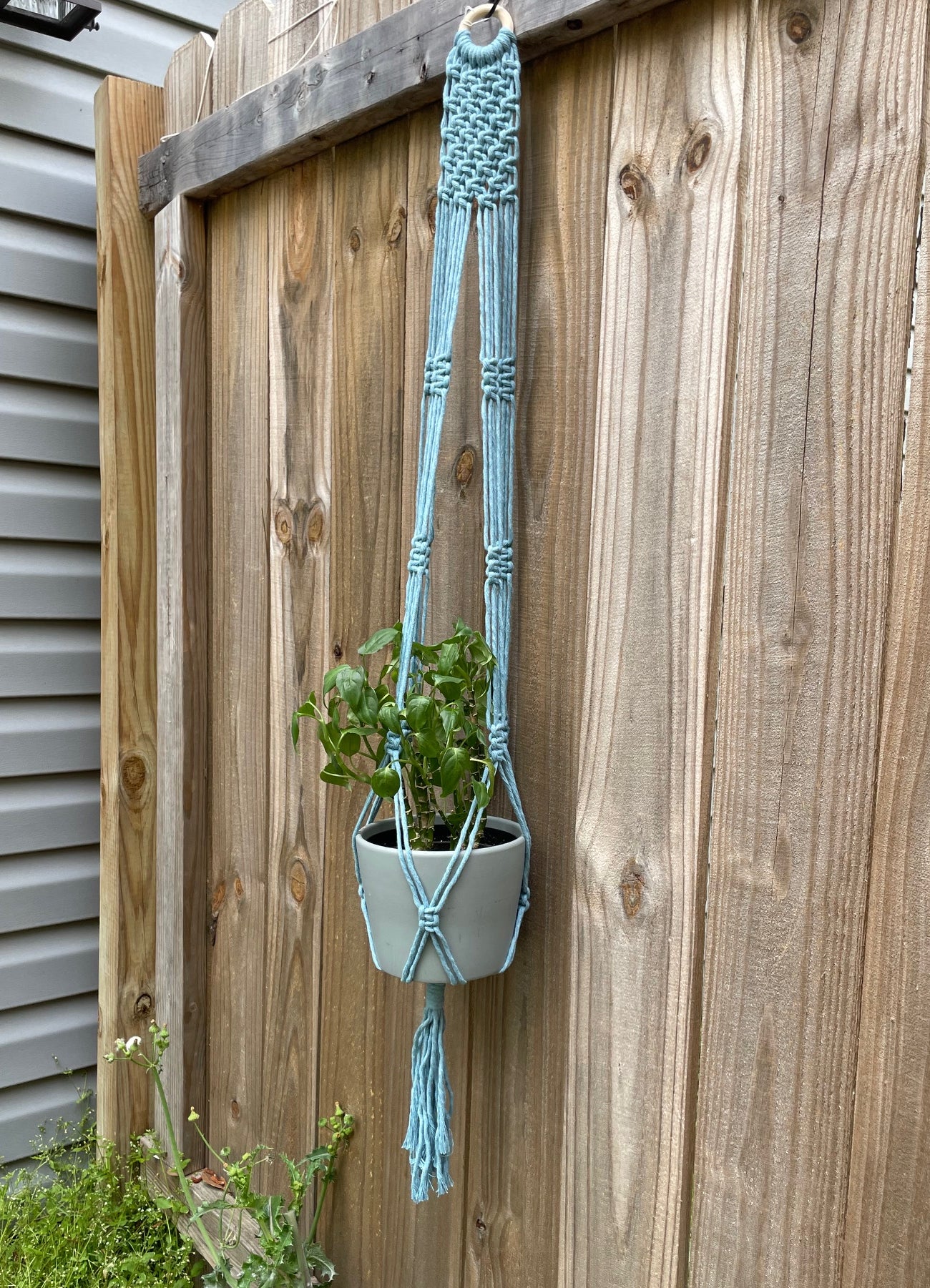 Square Knot Row Plant Hanger